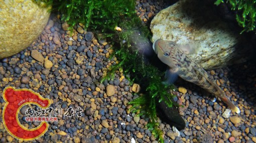 nEO_IMG_DSC02726.jpg