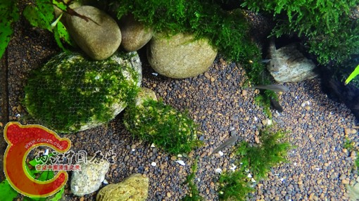nEO_IMG_DSC02734.jpg