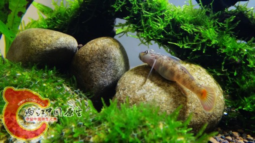 nEO_IMG_DSC02742.jpg