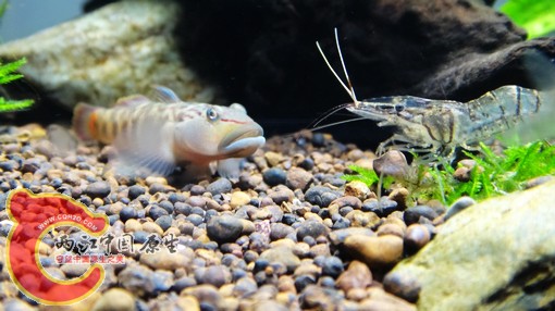 nEO_IMG_DSC02748.jpg