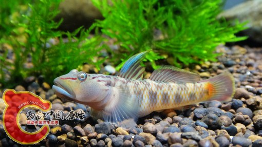 nEO_IMG_DSC02749.jpg