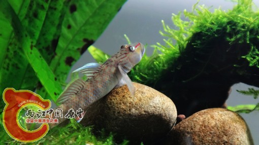 nEO_IMG_DSC02752.jpg