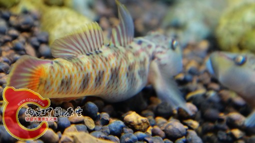 nEO_IMG_DSC02754.jpg