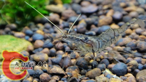 nEO_IMG_DSC02753.jpg