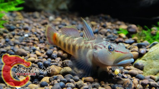 nEO_IMG_DSC02758.jpg