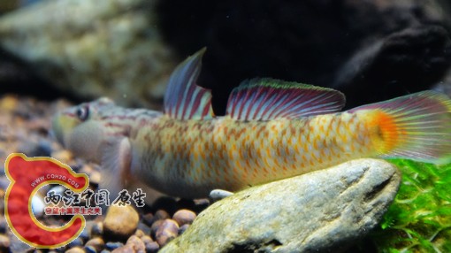 nEO_IMG_DSC02759.jpg