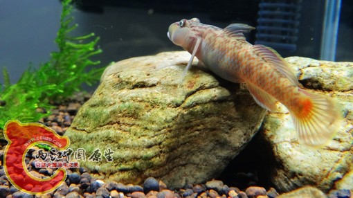 nEO_IMG_DSC02766.jpg