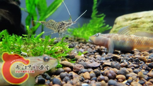 nEO_IMG_DSC02768.jpg