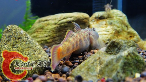 nEO_IMG_DSC02769.jpg