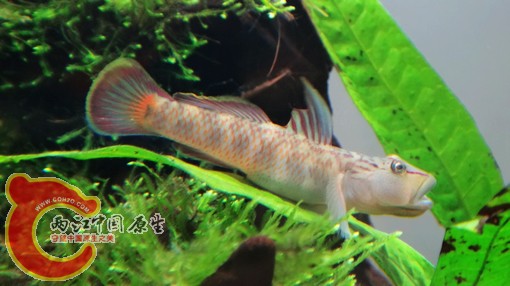 nEO_IMG_DSC02773.jpg