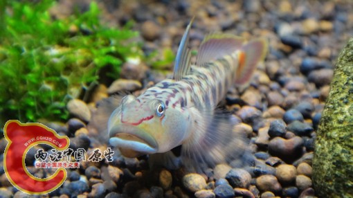 nEO_IMG_DSC02775.jpg