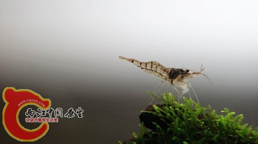 nEO_IMG_DSC02782.jpg