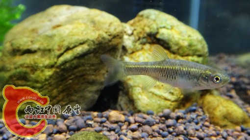 nEO_IMG_DSC02845.jpg