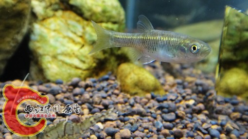 nEO_IMG_DSC02846.jpg