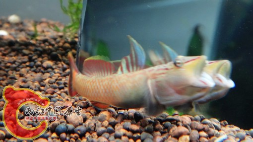 nEO_IMG_DSC02801.jpg