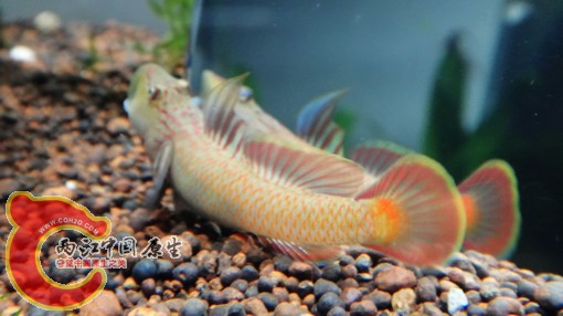 nEO_IMG_DSC02802.jpg