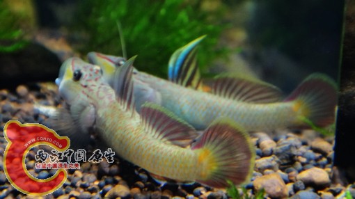 nEO_IMG_DSC02834.jpg