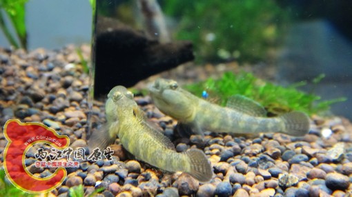 nEO_IMG_DSC02852.jpg