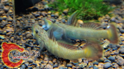 nEO_IMG_DSC02856.jpg