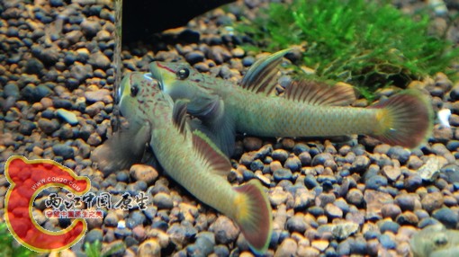 nEO_IMG_DSC02859.jpg