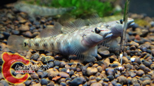 nEO_IMG_DSC02860.jpg