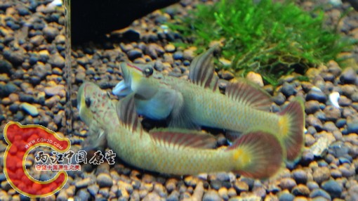 nEO_IMG_DSC02857.jpg