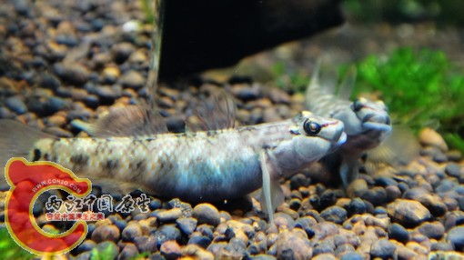 nEO_IMG_DSC02861.jpg