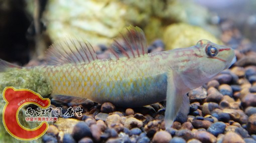 nEO_IMG_DSC02793.jpg