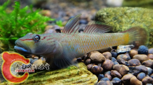 nEO_IMG_DSC02804.jpg