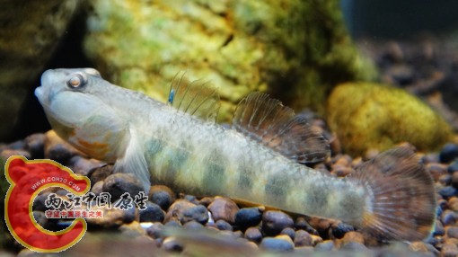 nEO_IMG_DSC02830.jpg