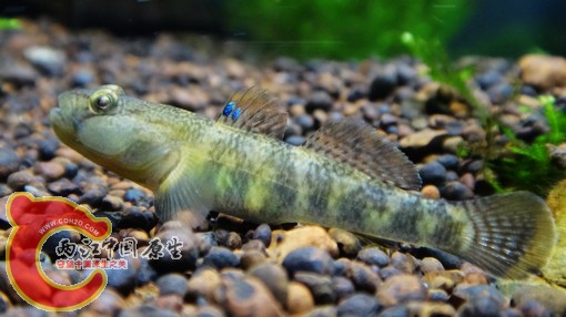 nEO_IMG_DSC02848.jpg