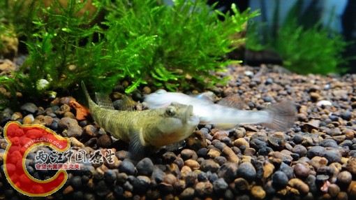 nEO_IMG_DSC02841.jpg