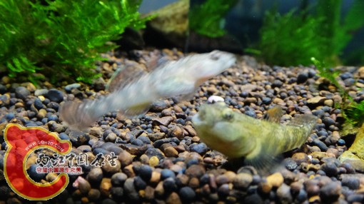 nEO_IMG_DSC02842.jpg