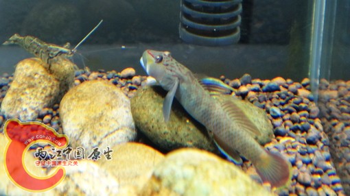 nEO_IMG_DSC02863.jpg
