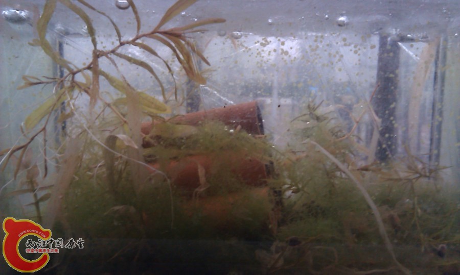 20130103-4057.JPG
