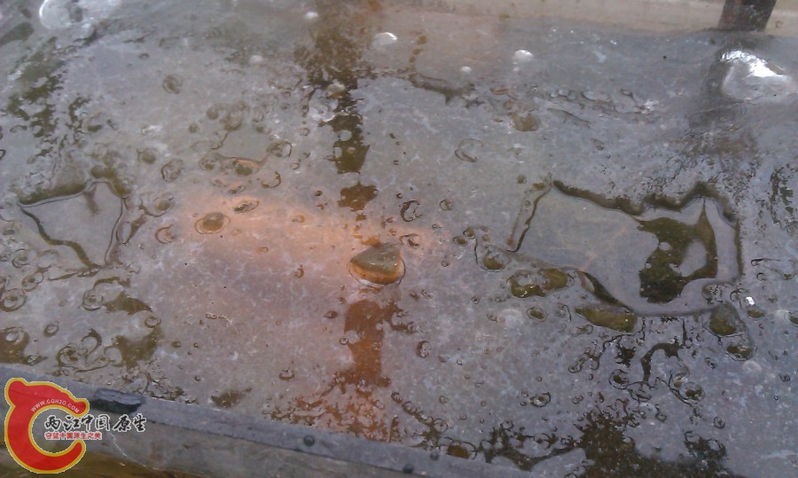 20130103-4058.JPG