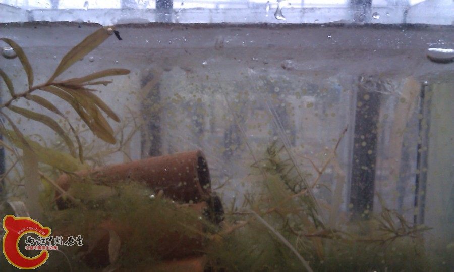 20130103-4059.JPG