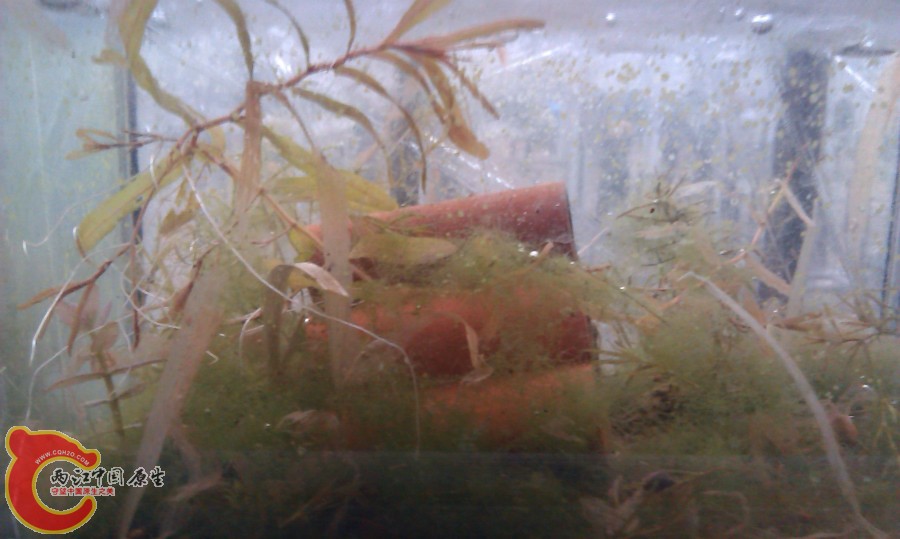 20130103-4060.JPG