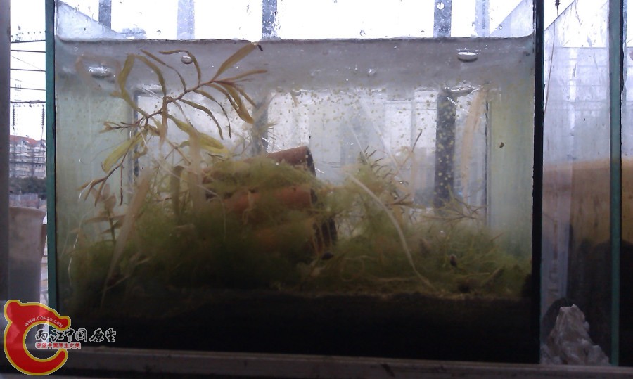 20130103-4061.JPG