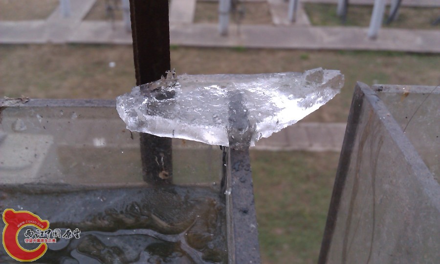 20130103-4062.JPG