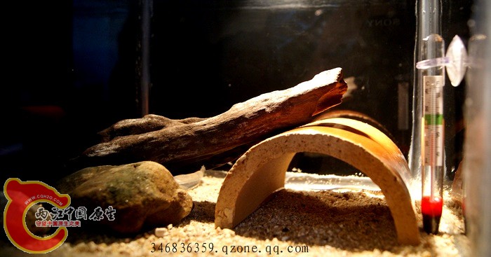 03.jpg