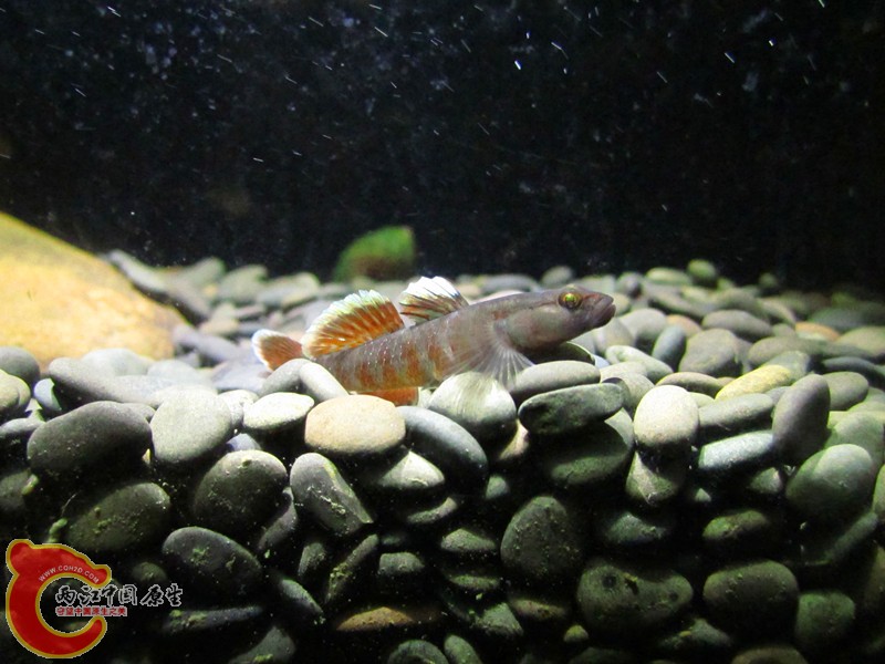 IMG_6489_副本.jpg