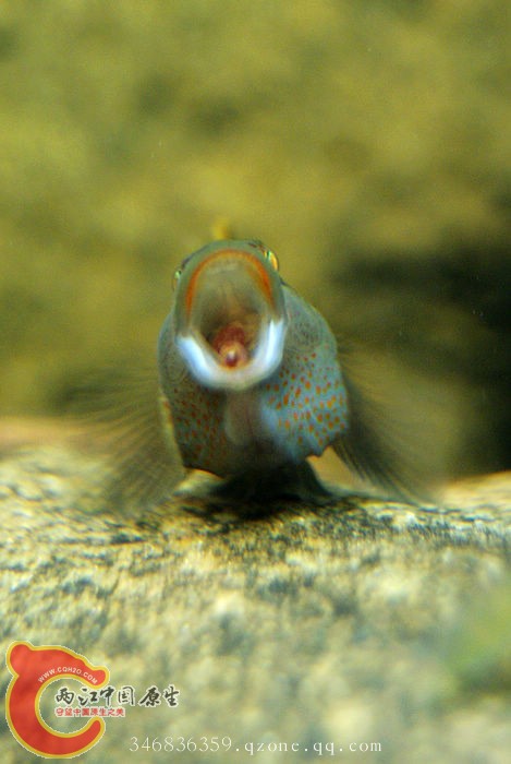 03.jpg