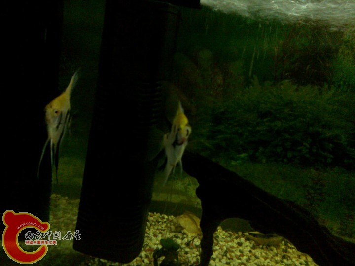 large_8rwc_6fa7000026ab125f.jpg