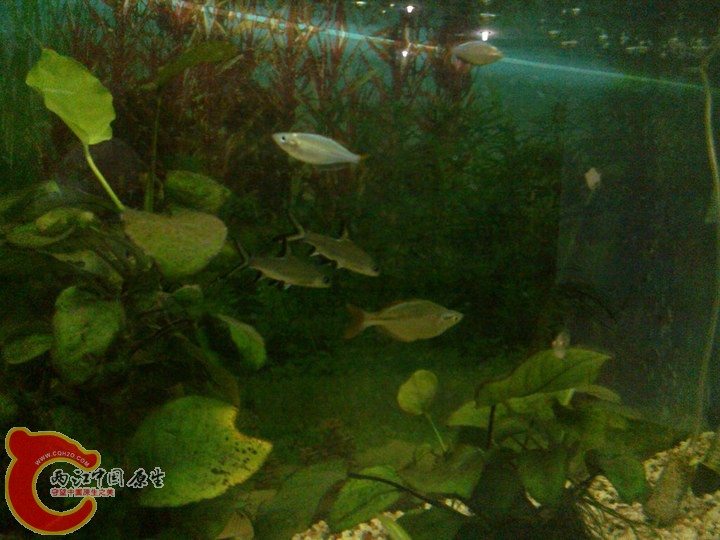 large_OiHU_6fe3000026bf125f.jpg