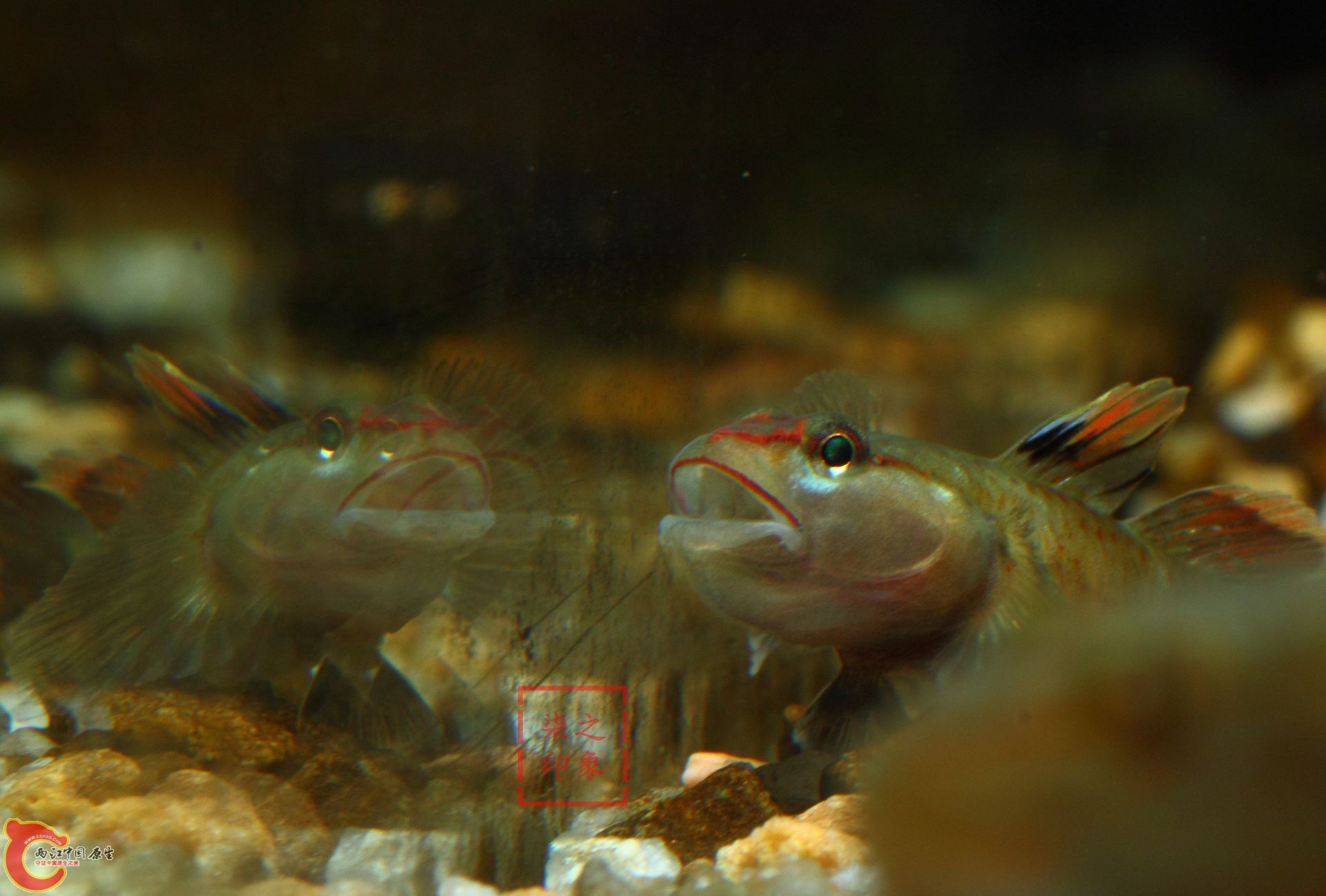 IMG_9889_副本.jpg