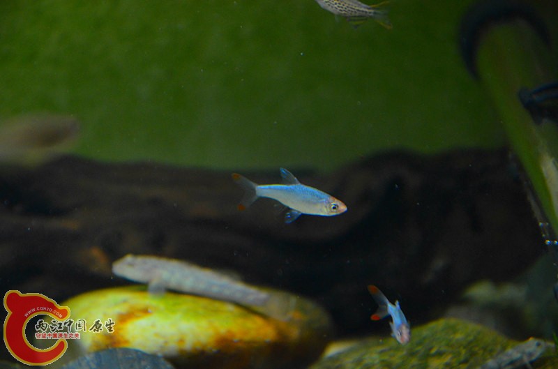 DSC_1680_副本.jpg