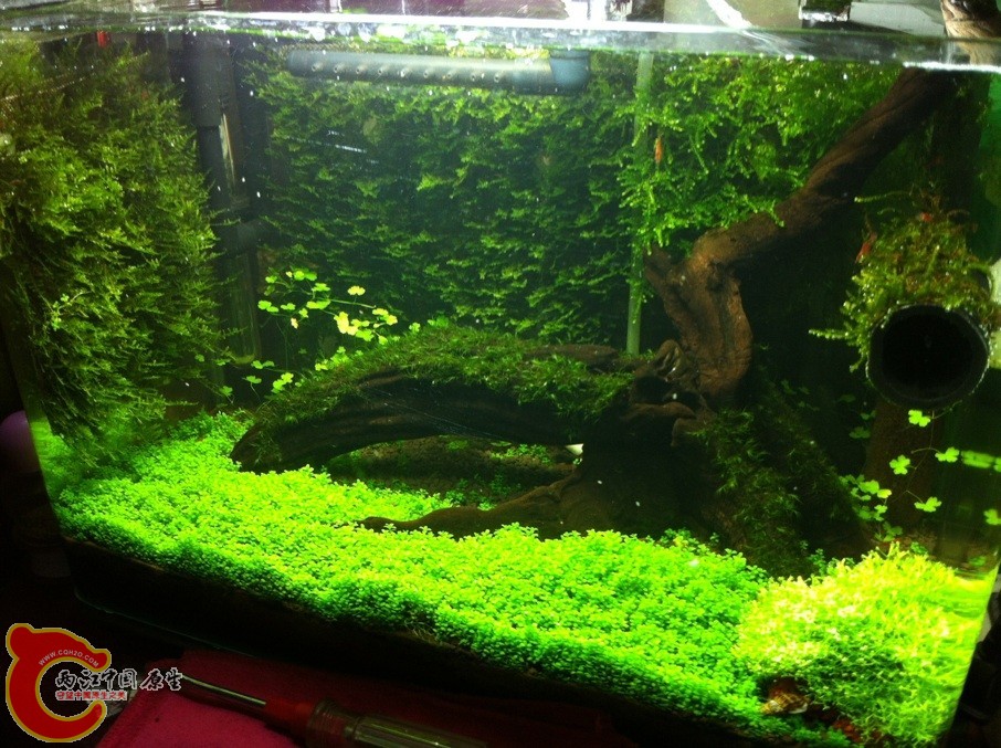 QQ图片20130116205959.jpg