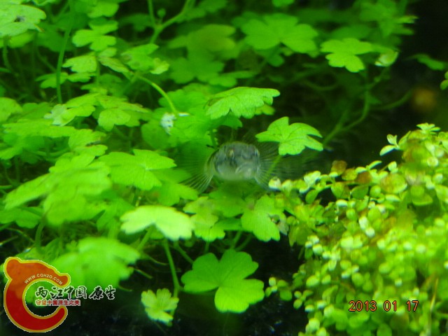 DSC00112.JPG