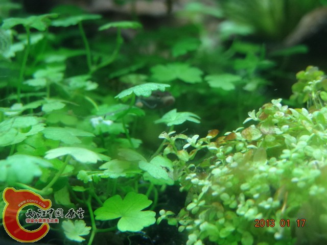 DSC00121.JPG